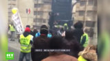 gilets jaunes